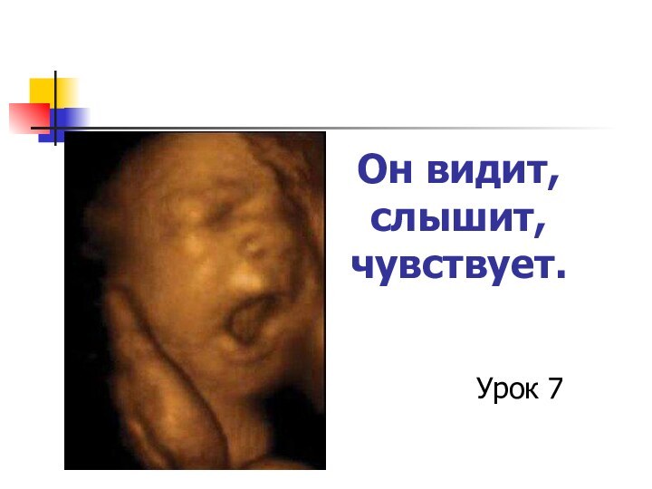 Он видит, слышит, чувствует.Урок 7