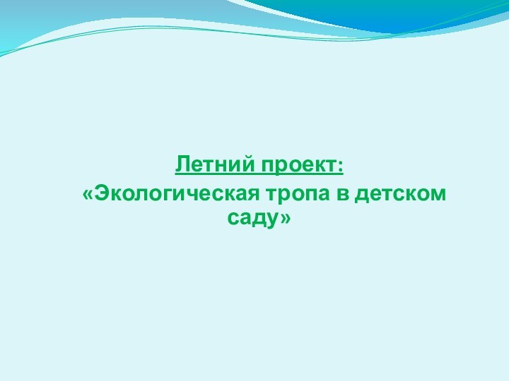 Летний проект: «Экологическая тропа в детском саду»