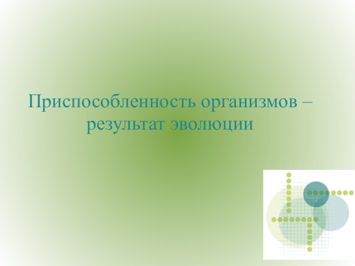 Приспособленность организмов – результат эволюции