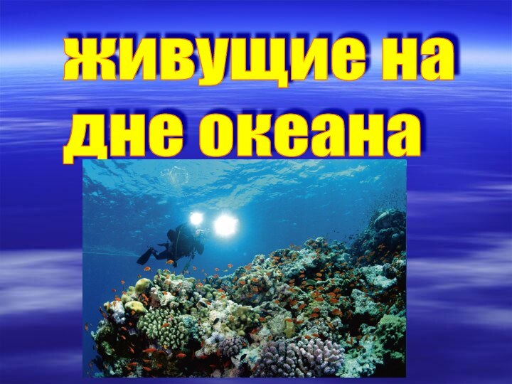 живущие на  дне океана