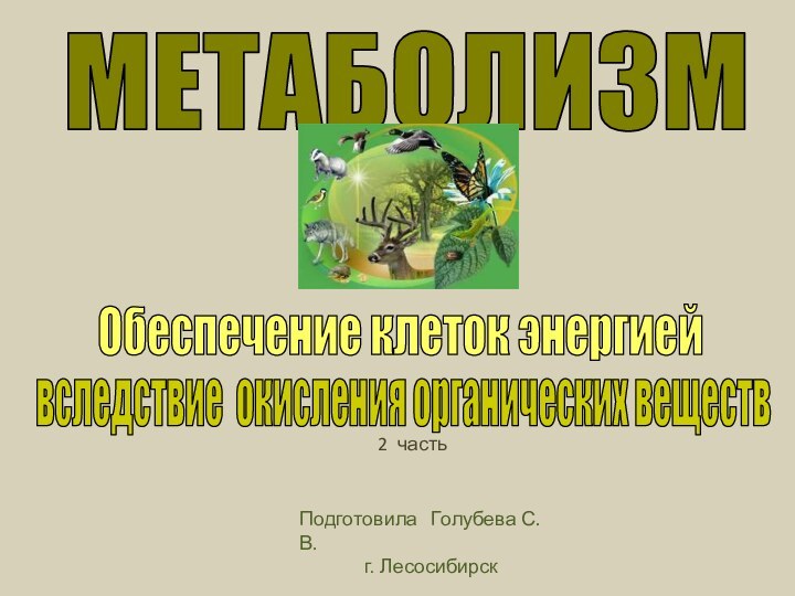 МЕТАБОЛИЗМОбеспечение клеток энергиейвследствие окисления органических веществПодготовила  Голубева С.В. г. Лесосибирск 2 часть