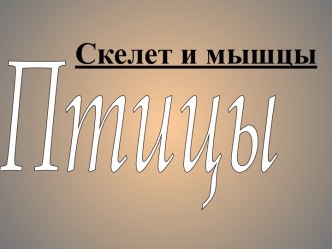 Птицы. Скелет и мышцы