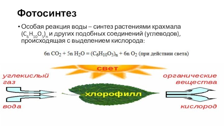 Фотосинтез Особая реакция воды – синтез растениями крахмала (C6H10O5)n и других подобных