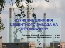 Изучение влияния цементного завода на энтомофауну