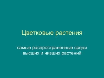 Цветковые растения 3 класс