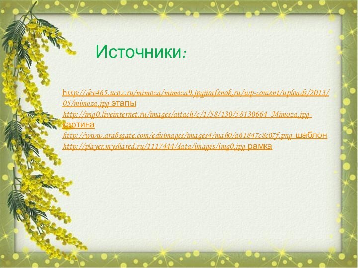Источники:http://dev465.ucoz.ru/mimoza/mimoza9.jpgjirafenok.ru/wp-content/uploads/2013/05/mimoza.jpg-этапыhttp://img0.liveinternet.ru/images/attach/c/1/58/130/58130664_Mimoza.jpg-картинаhttp://www.arabsgate.com/eduimages/images4/mah0/a61847c8c07f.png-шаблонhttp://player.myshared.ru/1117444/data/images/img0.jpg-рамка
