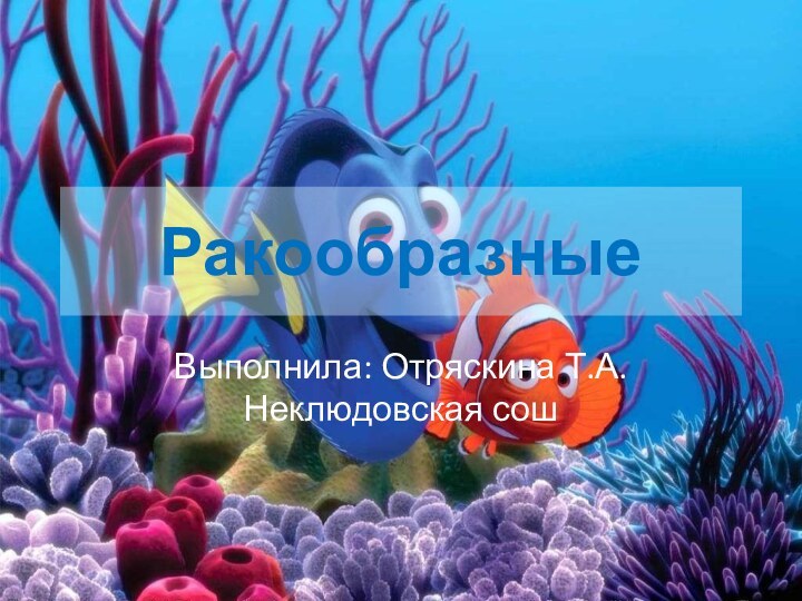 Ракообразные Выполнила: Отряскина Т.А. Неклюдовская сош