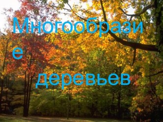 Многообразие деревьев