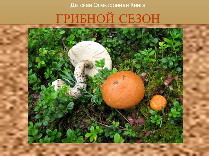 ГРИБНОЙ СЕЗОНДетская Электронная Книга