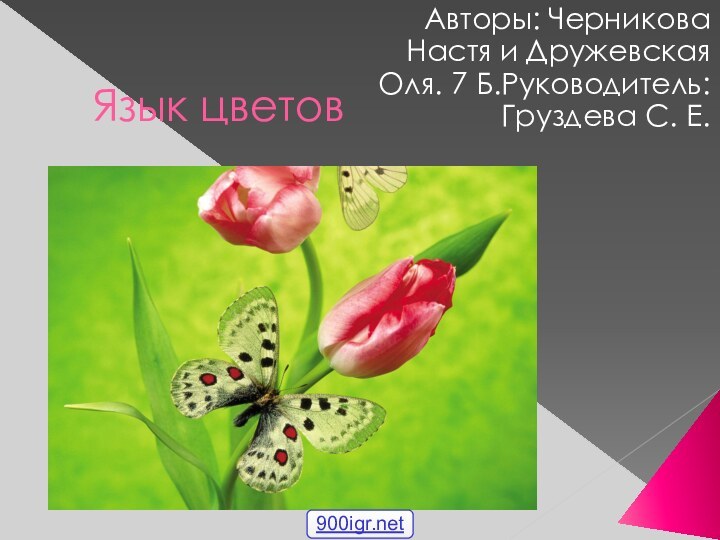 Язык цветовАвторы: Черникова Настя и Дружевская Оля. 7 Б.Руководитель: Груздева С. Е.