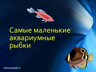 Самые маленькие аквариумые рыбки