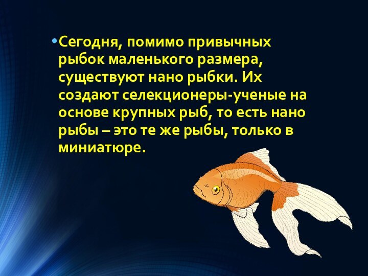 Сегодня, помимо привычных рыбок маленького размера, существуют нано рыбки. Их создают селекционеры-ученые