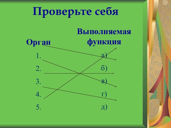 Орган1. 2. 3. 4. 5. Выполняемая функцияа) б) в) г) д)Проверьте себя