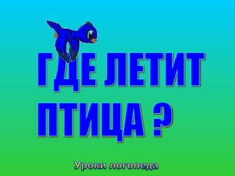 Где летит птица?