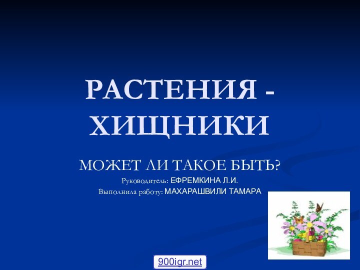 РАСТЕНИЯ - ХИЩНИКИМОЖЕТ ЛИ ТАКОЕ БЫТЬ?Руководитель: ЕФРЕМКИНА Л.И.Выполнила работу: МАХАРАШВИЛИ ТАМАРА