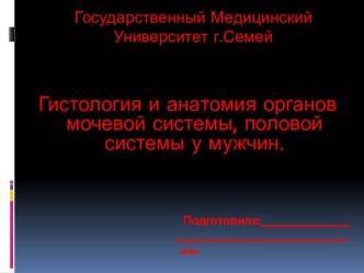 Гистология и анатомия органов мочевой системы, половой систеиы у мужчин