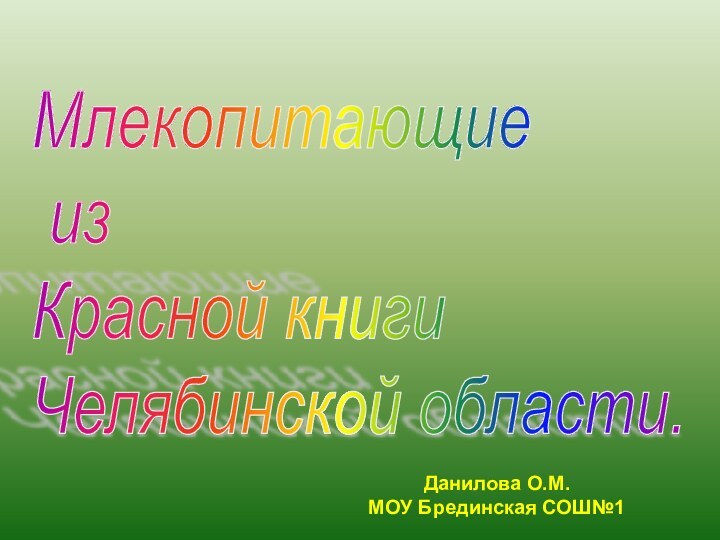 Млекопитающие   из  Красной книги  Челябинской области.Данилова О.М.  МОУ Брединская СОШ№1