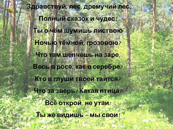 Здравствуй, лес, дремучий