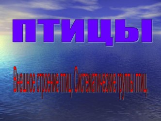 Птицы2