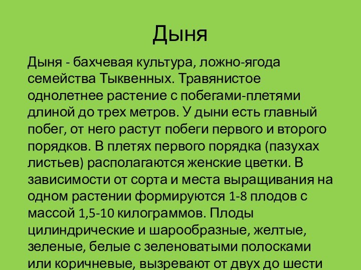 ДыняДыня - бахчевая культура, ложно-ягода семейства Тыквенных. Травянистое однолетнее растение с побегами-плетями