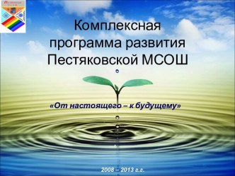 Комплексная программа развития Пестяковской МСОШ