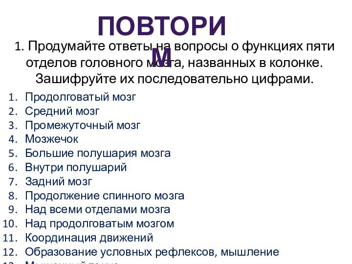 1. Продумайте ответы на вопросы о функциях пяти отделов головного мозга, названных