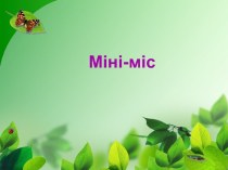 Mini_mis