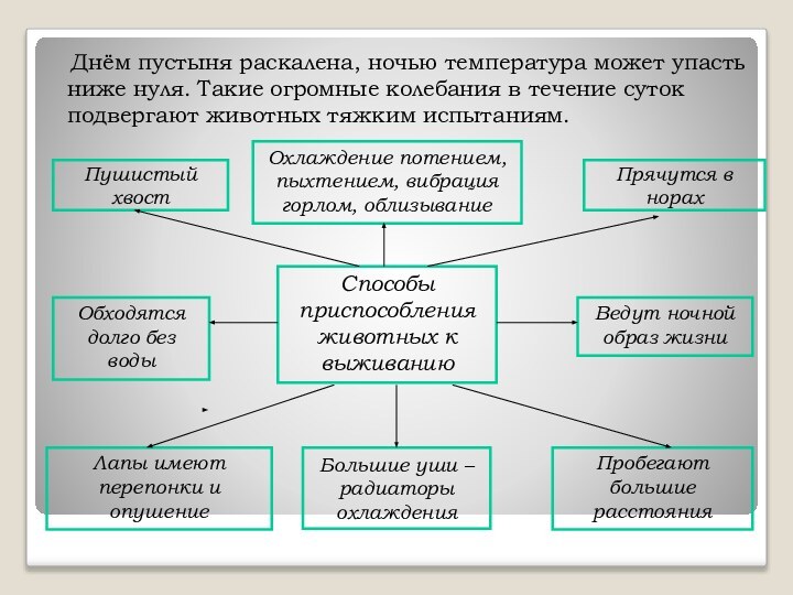 Днём пустыня раскалена, ночью температура может упасть ниже нуля. Такие