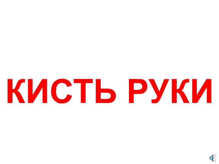 КИСТЬ РУКИ