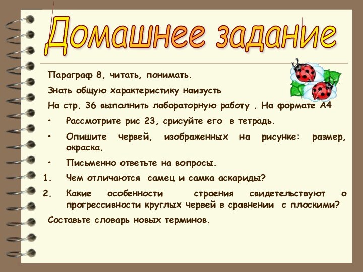 Домашнее заданиеПараграф 8, читать, понимать.Знать общую характеристику наизустьНа стр. 36 выполнить лабораторную