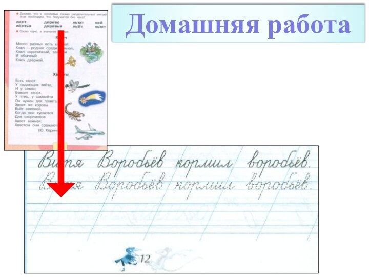 Домашняя работа