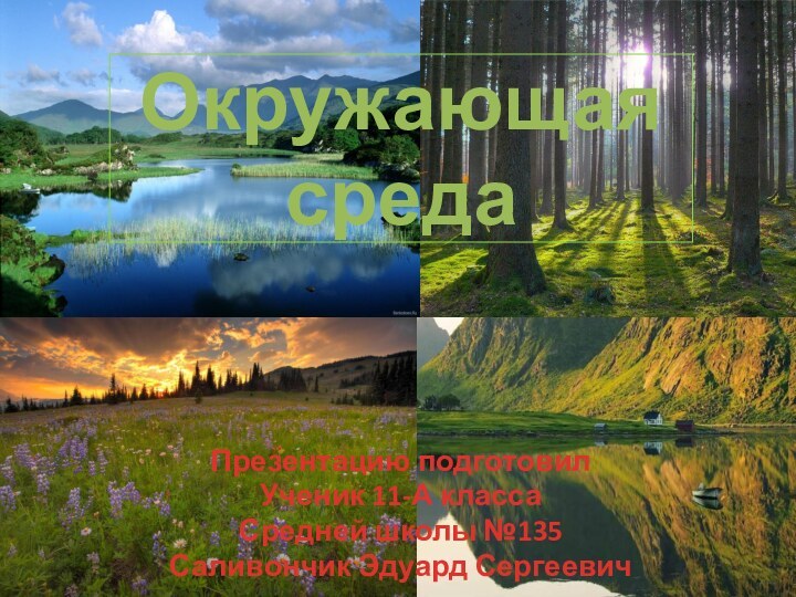 Окружающая средаПрезентацию подготовилУченик 11-А классаСредней школы №135Саливончик Эдуард Сергеевич