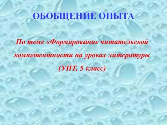 Формирование читательской компетентности на уроках литературы