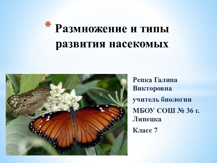 Репка Галина Викторовнаучитель биологии МБОУ СОШ № 36 г. ЛипецкаКласс 7Размножение и типы развития насекомых