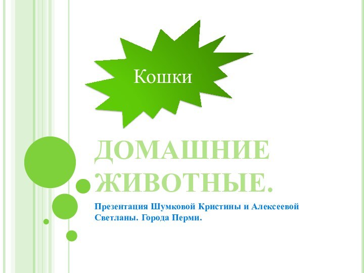 ДОМАШНИЕ ЖИВОТНЫЕ.Презентация Шумковой Кристины и Алексеевой Светланы. Города Перми.Кошки