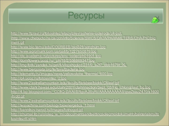 http://www.fizrast.ru/fotosintez/etapy/prevrashenie-ugleroda/c4-put.lhttp://www.chebucto.ns.ca/ccn/info/Science/SWCS/DATA/PARAMETERS/CHA/PIC/pigment.gifhttp://www.bio.tamu.edu/COURSES/biol328/sorghum.jpghttp://www.agromark.com.ua/gall/b/1227650879.jpghttp://dic.academic.ru/pictures/enc_colier/ph01901.jpghttp://domflowers.ucoz.ru/_ph/18/2/556869347.jpghttp://img-fotki.yandex.ru/get/4/vibpxhgglzd.231/0_a2f7_dbb1679f_XLhttp://www.bergoiata.org/fe/favs/Bacteria.jpghttp://elementy.ru/images/news/yellowstone_thermal_600.jpghttp://g4.ucoz.ru/fotosyntez_2.jpghttp://www2.estrellamountain.edu/faculty/farabee/biobk/C4leaf.gifhttp://www.ctahr.hawaii.edu/ctahr2001/ctahrinaction/Sept_03/Fig_chloroplast_bg.jpghttp://4.bp.blogspot.com/_CCfIQ-j3AAI/SRgcAJI5yRI/AAAAAAAAAII/qseZxazZ470/s1600-h/dd.gifhttp://www2.estrellamountain.edu/faculty/farabee/biobk/C4leaf.gif http://wsyachina.com/biology/bioenergetics_1.htmlhttp://bannikov.narod.ru/images/fotnogot.gifhttp://zhurnal.lib.ru/o/oleg_w_m/cdocumentsandsettingsolegmoidokumentybakterialxnyjfotosintezrtf.shtm  Ресурсы