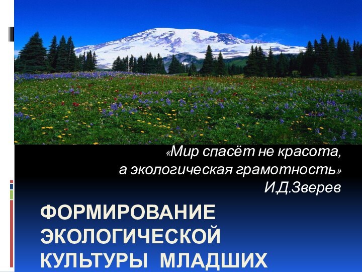 ФОРМИРОВАНИЕ ЭКОЛОГИЧЕСКОЙ КУЛЬТУРЫ МЛАДШИХ ШКОЛЬНИКОВ«Мир спасёт не красота,а экологическая грамотность»