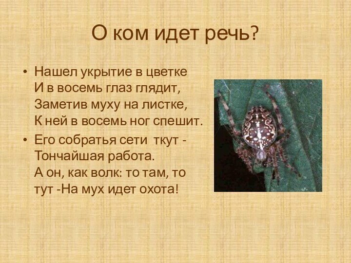 О ком идет речь?Нашел укрытие в цветке