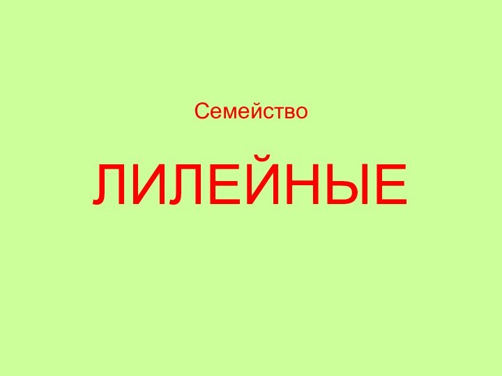 Семейство   ЛИЛЕЙНЫЕ