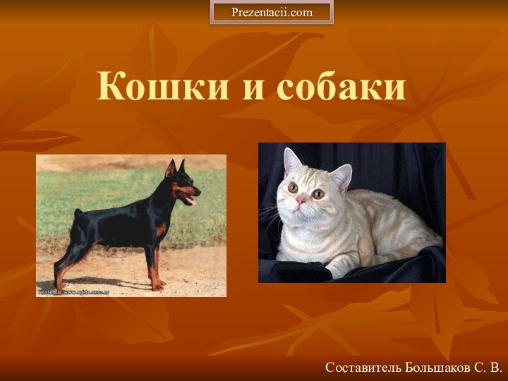 Кошки и собакиСоставитель Большаков С. В.Prezentacii.com