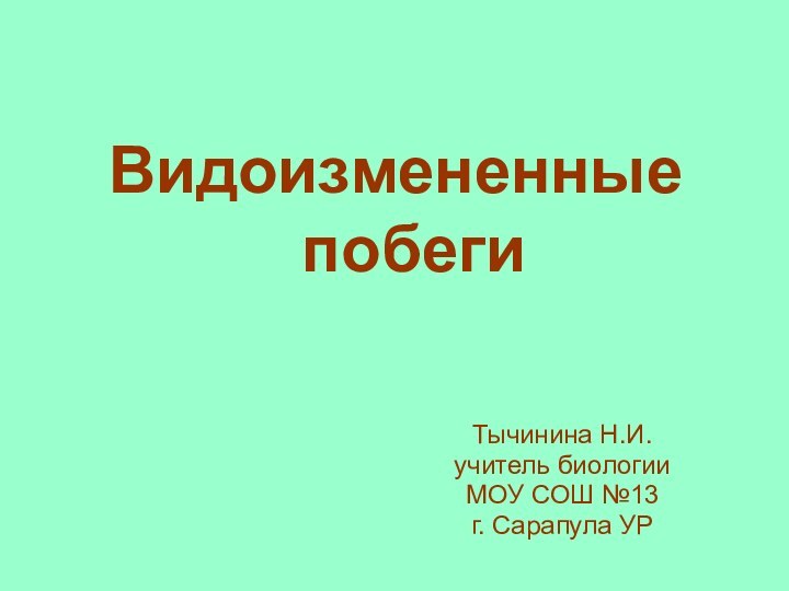 Видоизмененные   побегиТычинина Н.И.учитель биологии  МОУ СОШ №13г. Сарапула УР