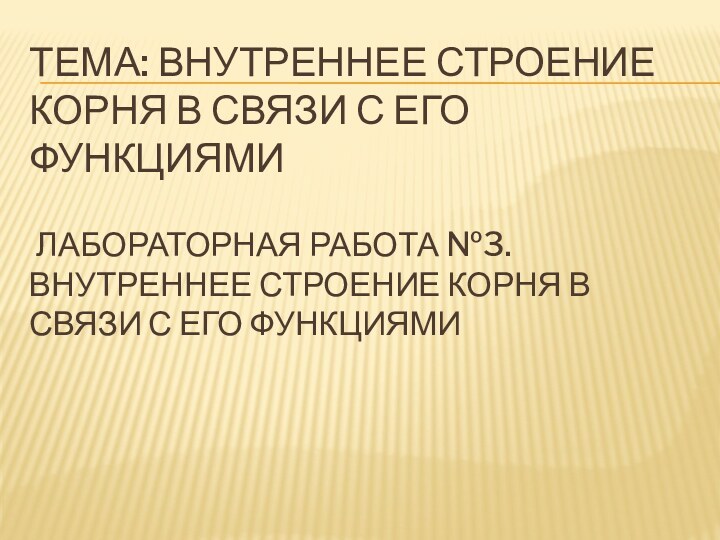 Тема: внутреннее строение корня в связи с его функциями