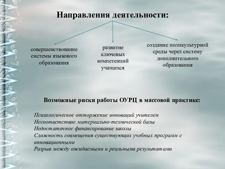 Направления деятельности:совершенствование системы языкового образованияразвитие ключевых компетенций учащихсясоздание поликультурной среды через систему