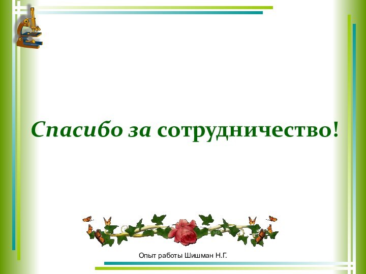 Опыт работы Шишман Н.Г.Спасибо за сотрудничество!