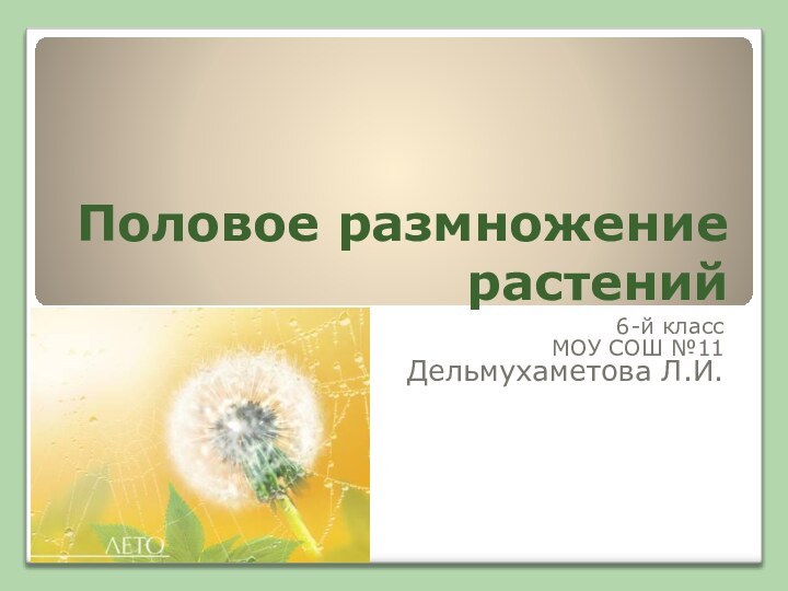 Половое размножение растений6-й классМОУ СОШ №11Дельмухаметова Л.И.