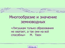 Многообразие земноводных