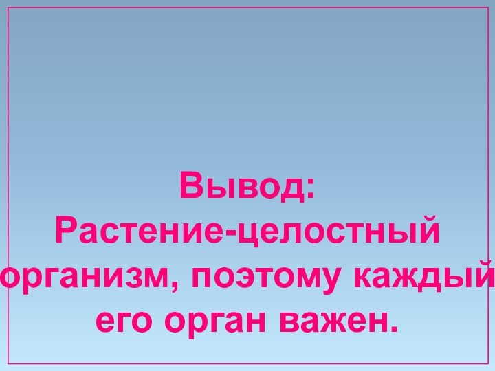 Вывод:Растение-целостныйорганизм, поэтому каждыйего орган важен.