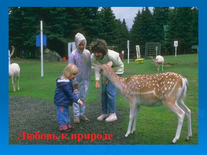 Любовь к природе