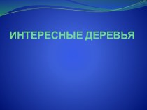 Интересные деревья