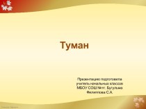 Туманы